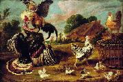 Paul de Vos The fight between a turkey and a rooster. oil painting reproduction